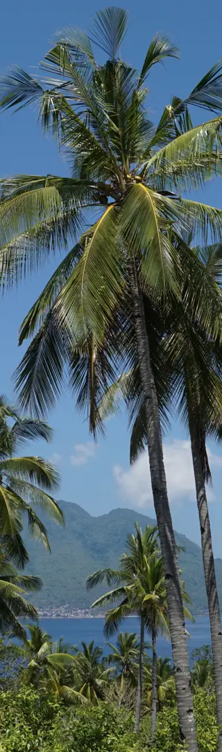 Im Bemo – langsam auf Achse